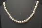 Preview: Perlenkette Süsswasserperlen weiß 6-6,5 mm Rund