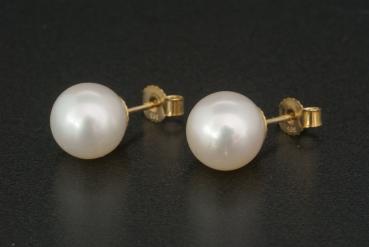 Perlohrstecker Gold 585 Süßwasser Zuchtperlen Rund 10,0mm