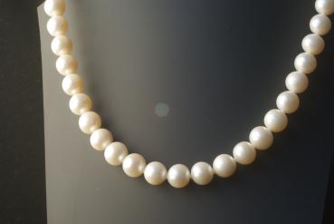 Preview: Perlenkette Süsswasserperlen weiß 10,0 mm Rund