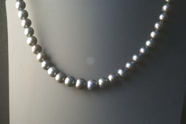 Perlenkette Süsswasserperlen Anthrazit 8,0mm Rund