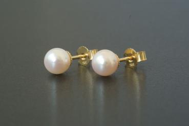 Perlohrstecker Gold 585 Akoyaperlen 6,5mm