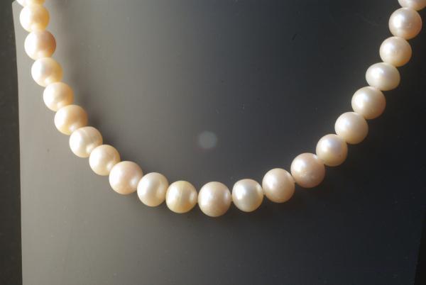 Perlenkette Süsswasserperlen Multi Rund 10mm